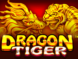 The Dragon Tiger game cover